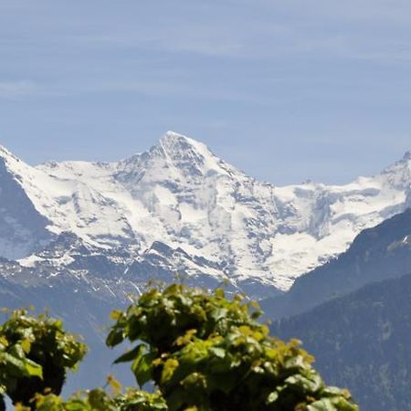 Jungfrau Hotel Schonegg מראה חיצוני תמונה